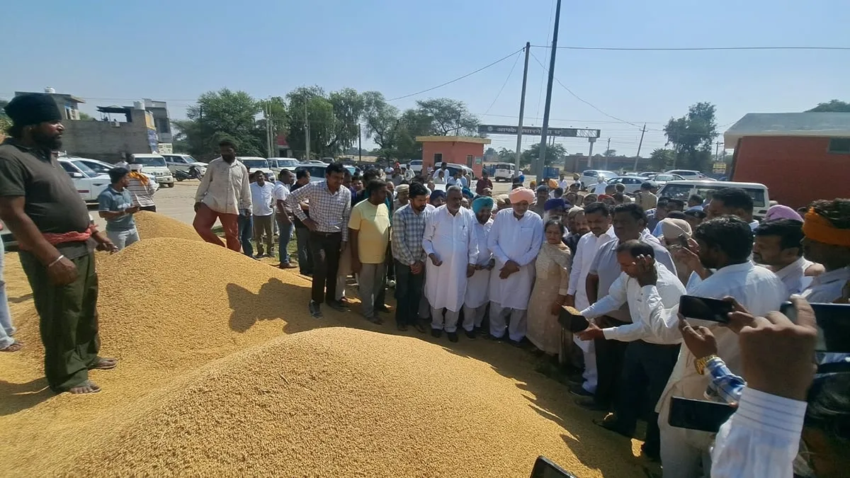 सिरसा की मंडियों में पहुंचे कृषि मंत्री राणा, किसानों को बेहतर कपास बीज का भरोसा