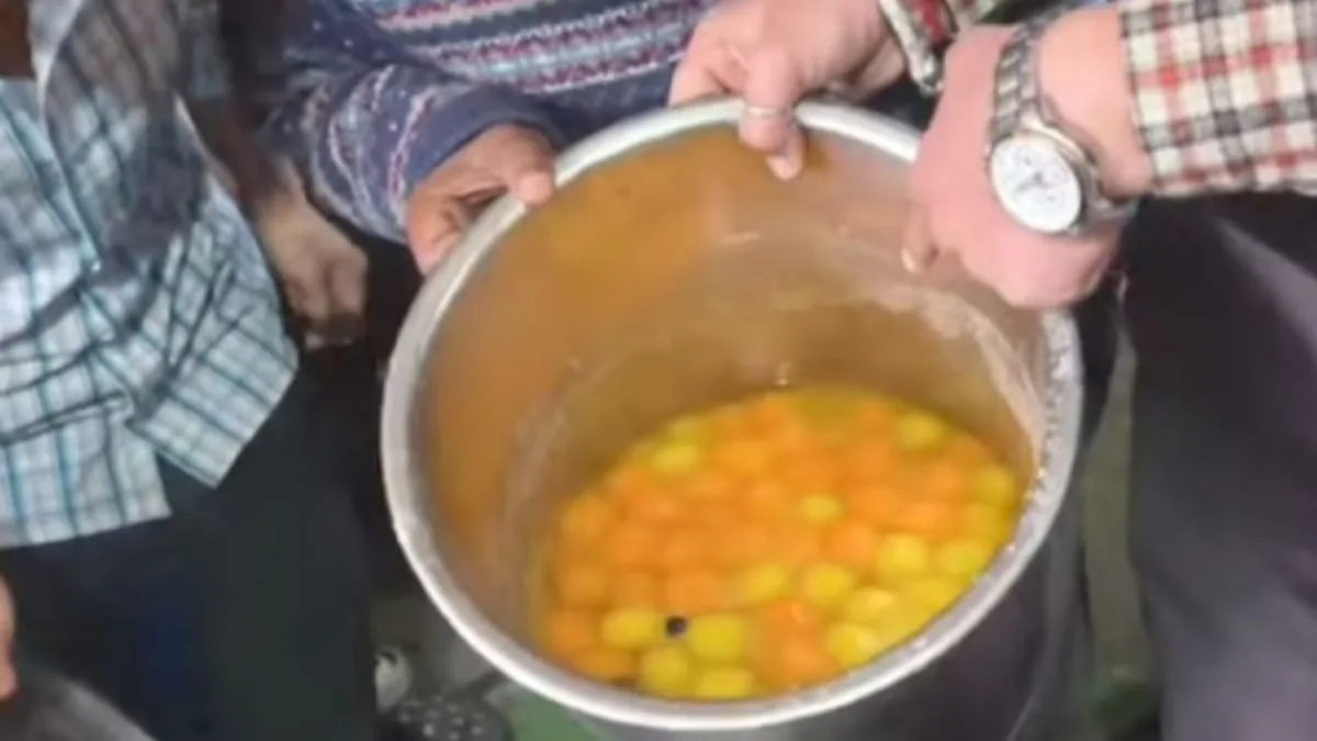शिमला में रसगुल्ले-गुलाब जामुन में मिले मरे कॉकरोच, मिठाइयां नष्ट; चार दुकानदारों को नोटिस